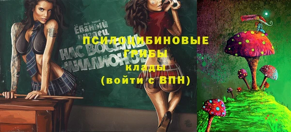 соль курить ск Бородино