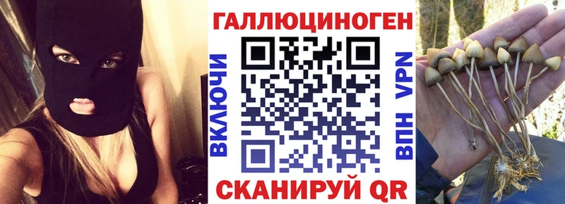 Псилоцибиновые грибы Psilocybine cubensis  закладка  mega рабочий сайт  Киселёвск 